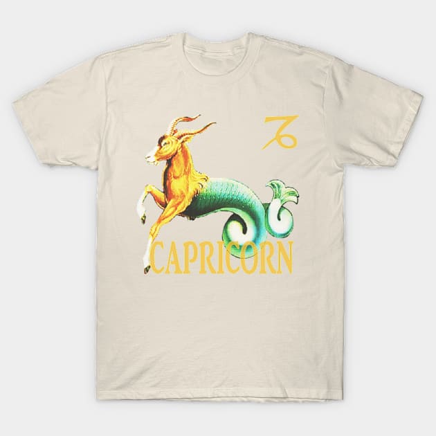 Capricorn T-Shirt by Izmet